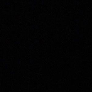 Meet your Posher, Darrien